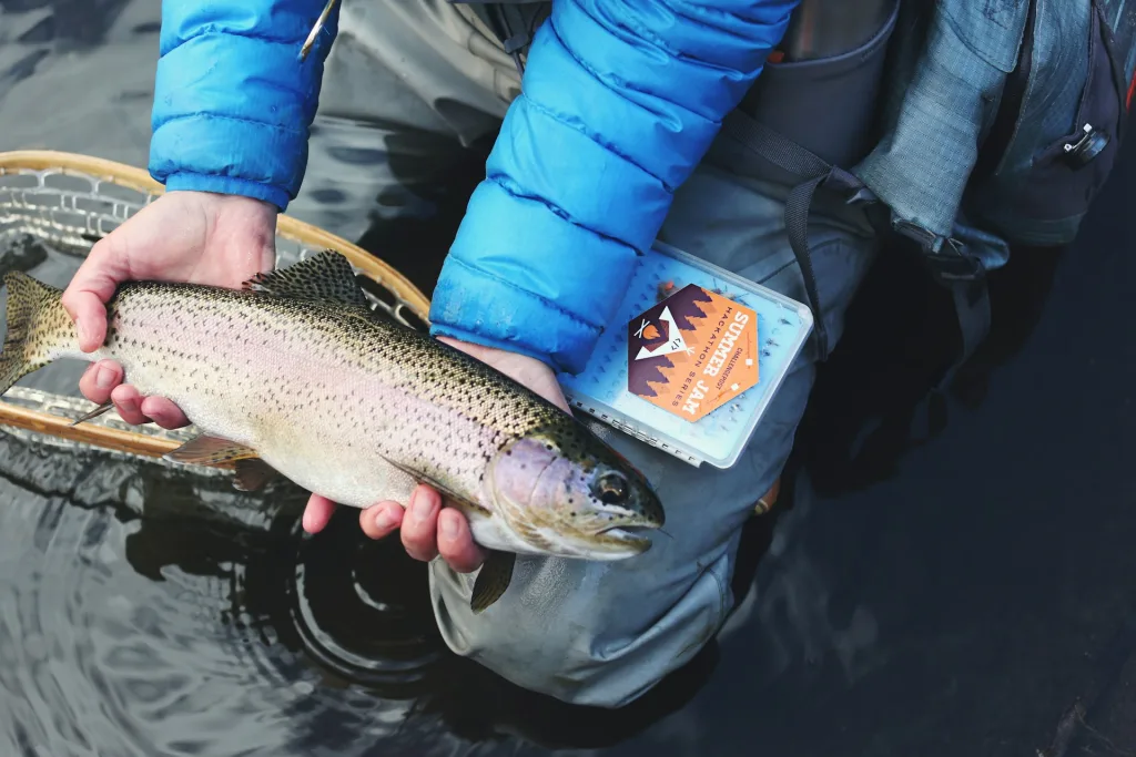 Pesca para principiantes: Comience su afición de la manera correcta